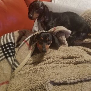 Meet your Posher, Rick